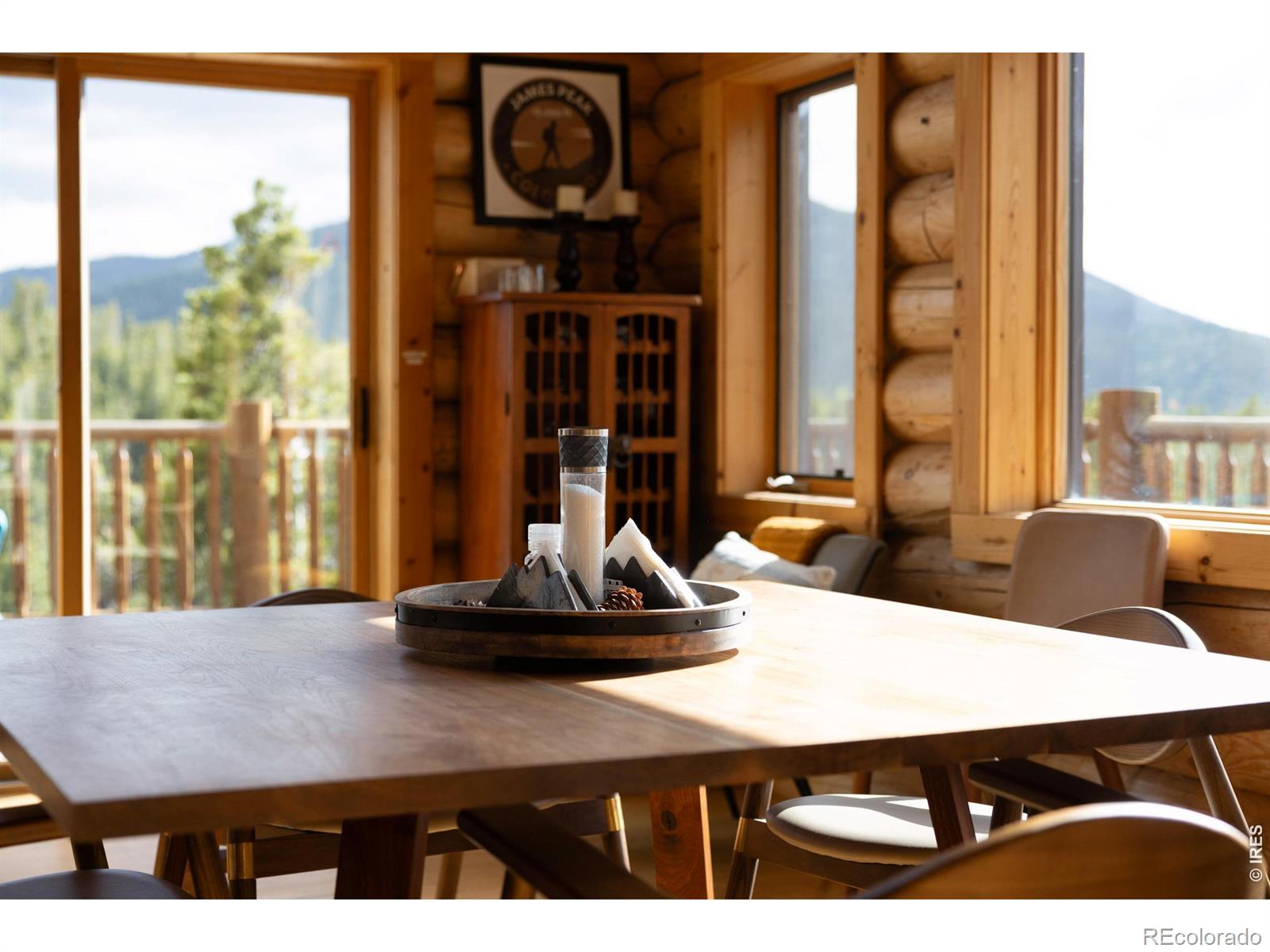 MLS Image #16 for 1028  rudi lane,golden, Colorado