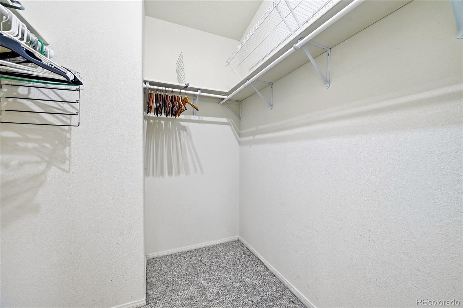 MLS Image #18 for 20300  old ranch loop,nathrop, Colorado