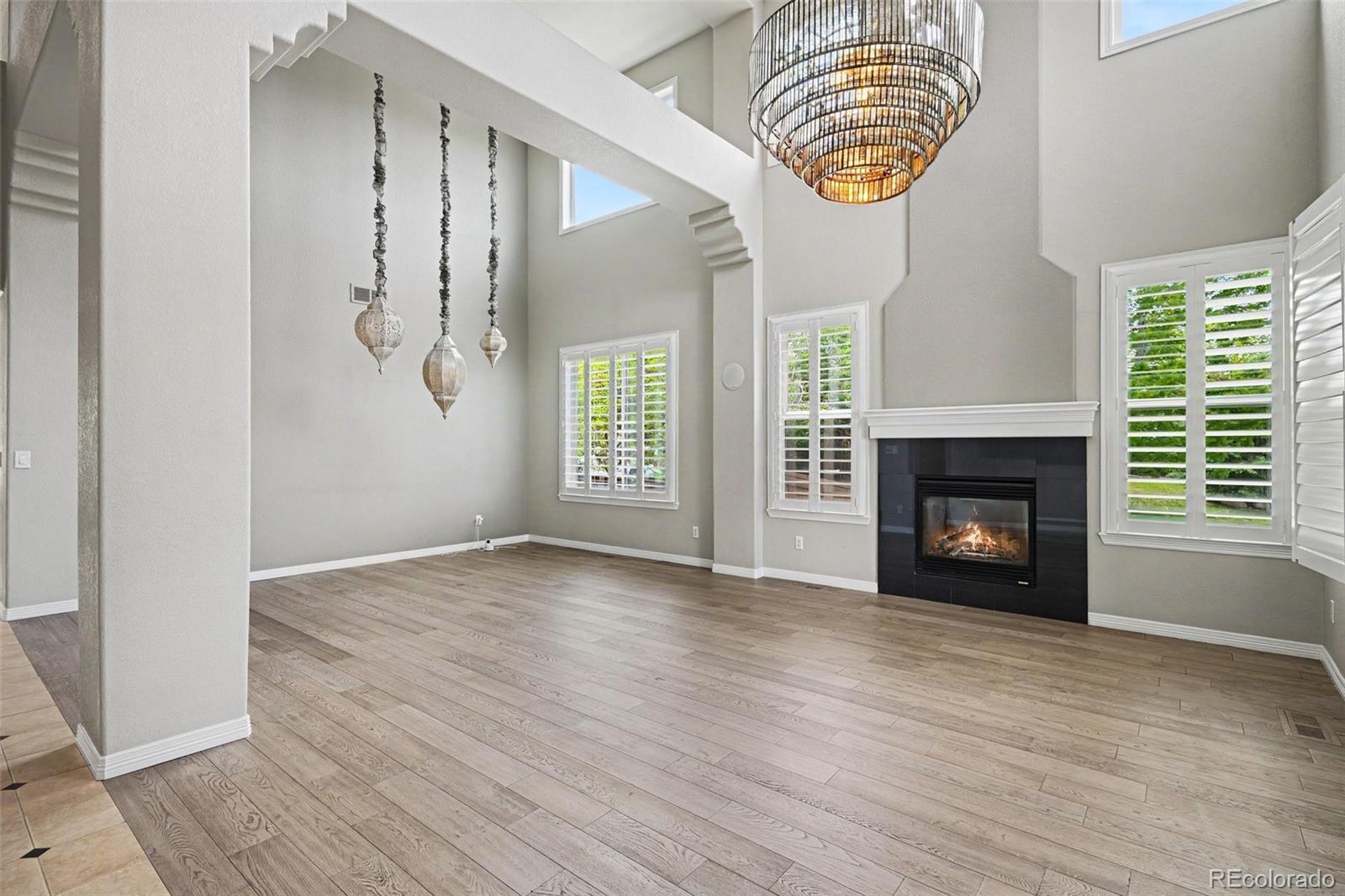 MLS Image #4 for 878  graland lane,highlands ranch, Colorado