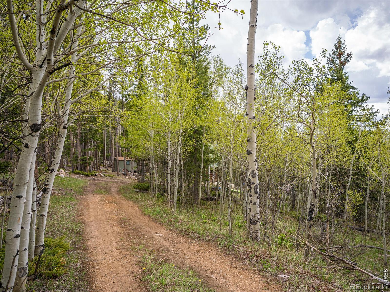 MLS Image #2 for 2227  osage trail,red feather lakes, Colorado