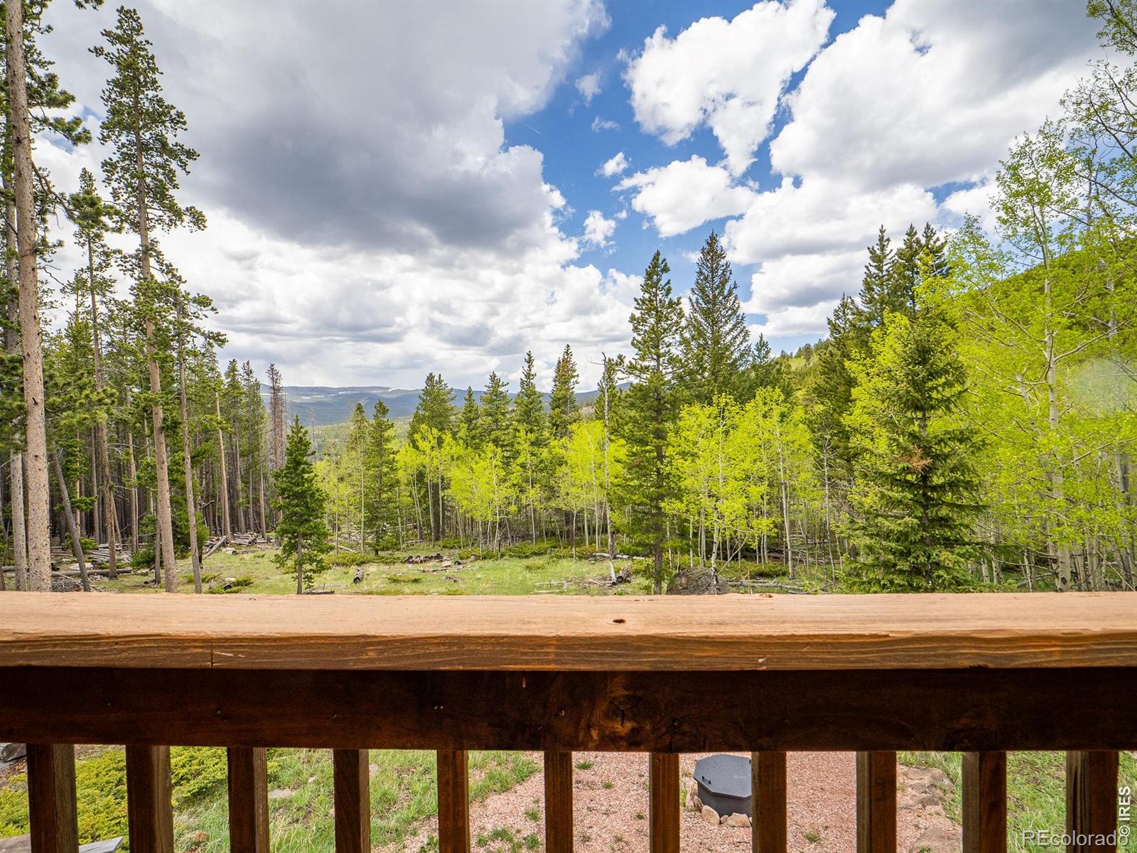MLS Image #24 for 2227  osage trail,red feather lakes, Colorado