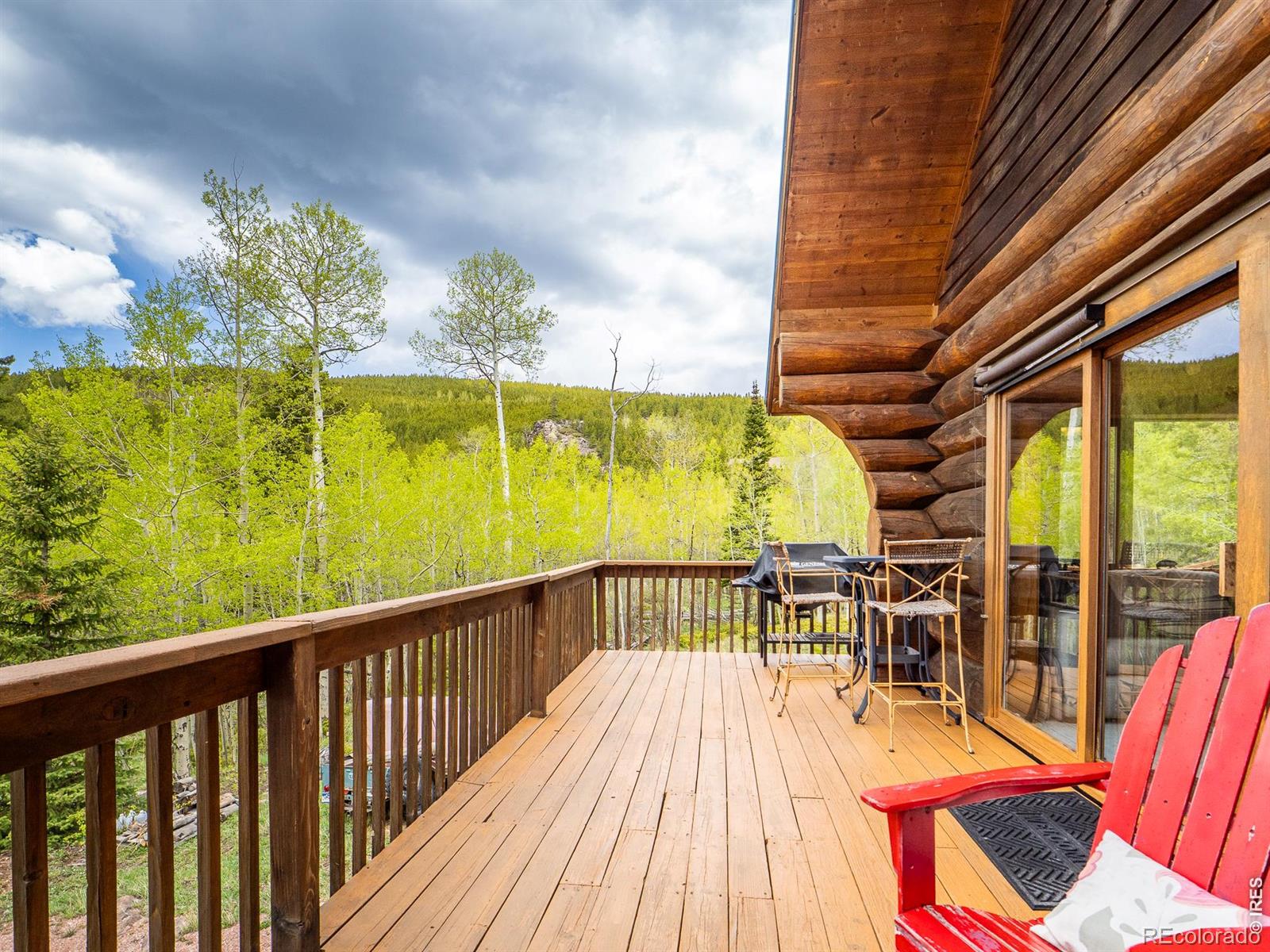 MLS Image #25 for 2227  osage trail,red feather lakes, Colorado