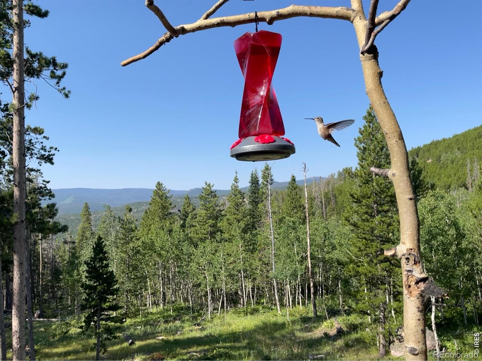MLS Image #26 for 2227  osage trail,red feather lakes, Colorado