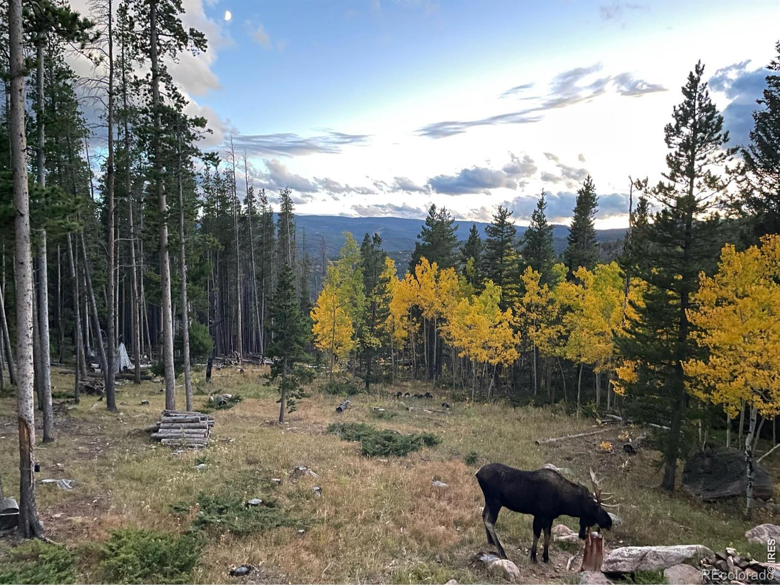 MLS Image #33 for 2227  osage trail,red feather lakes, Colorado