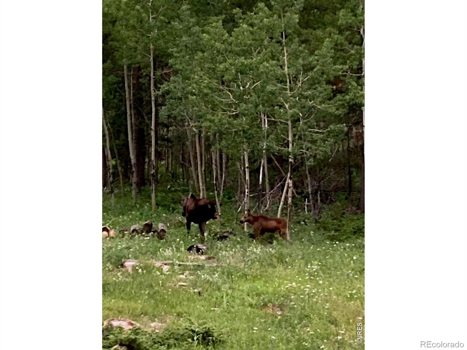 MLS Image #39 for 2227  osage trail,red feather lakes, Colorado