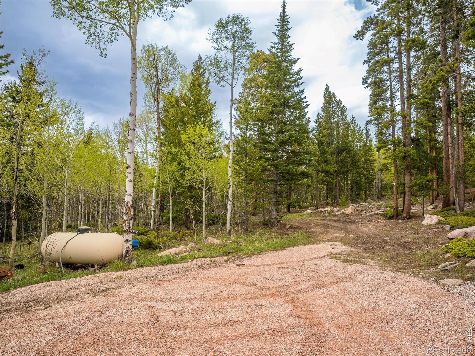 MLS Image #4 for 2227  osage trail,red feather lakes, Colorado
