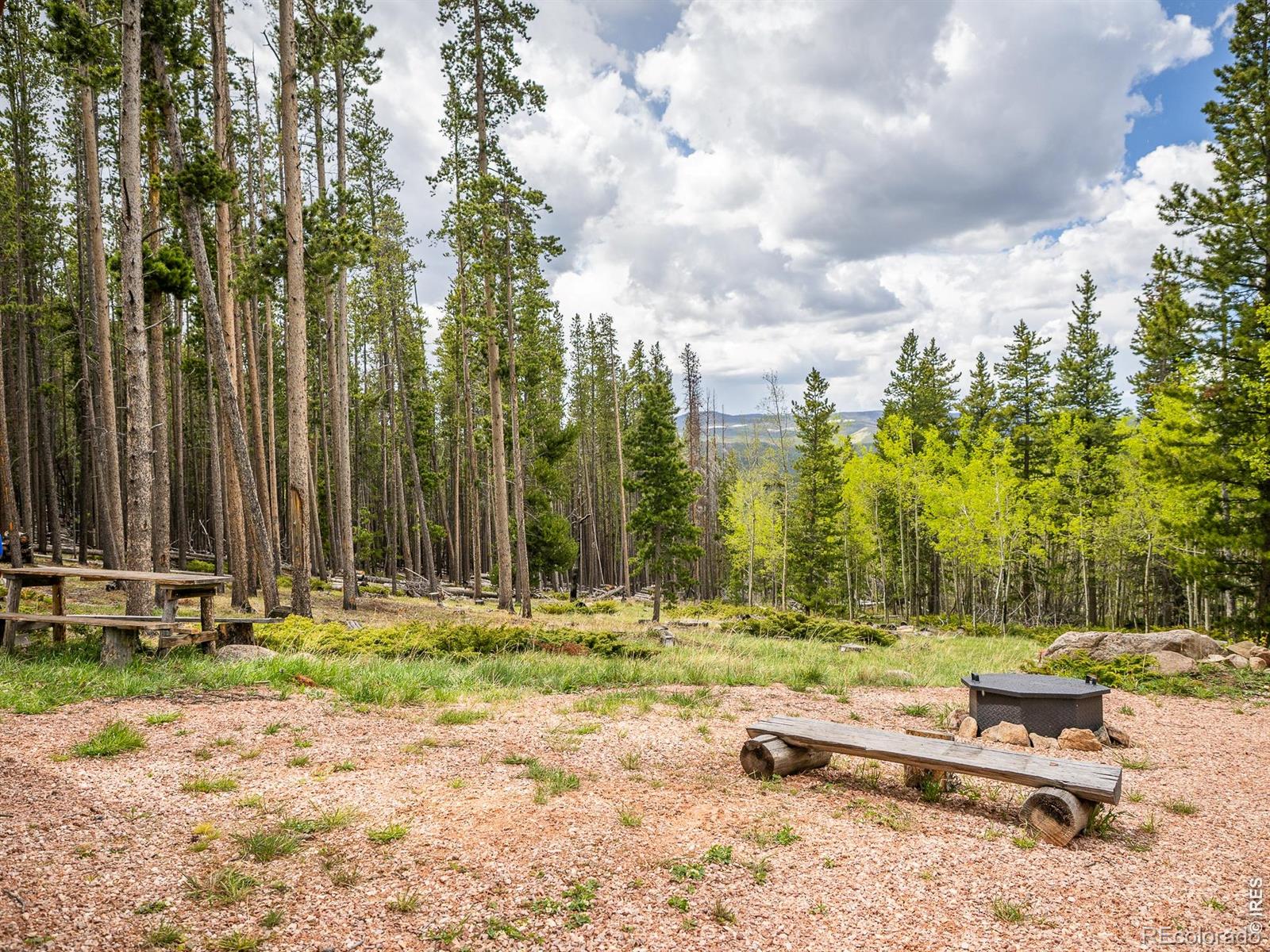 MLS Image #41 for 2227  osage trail,red feather lakes, Colorado