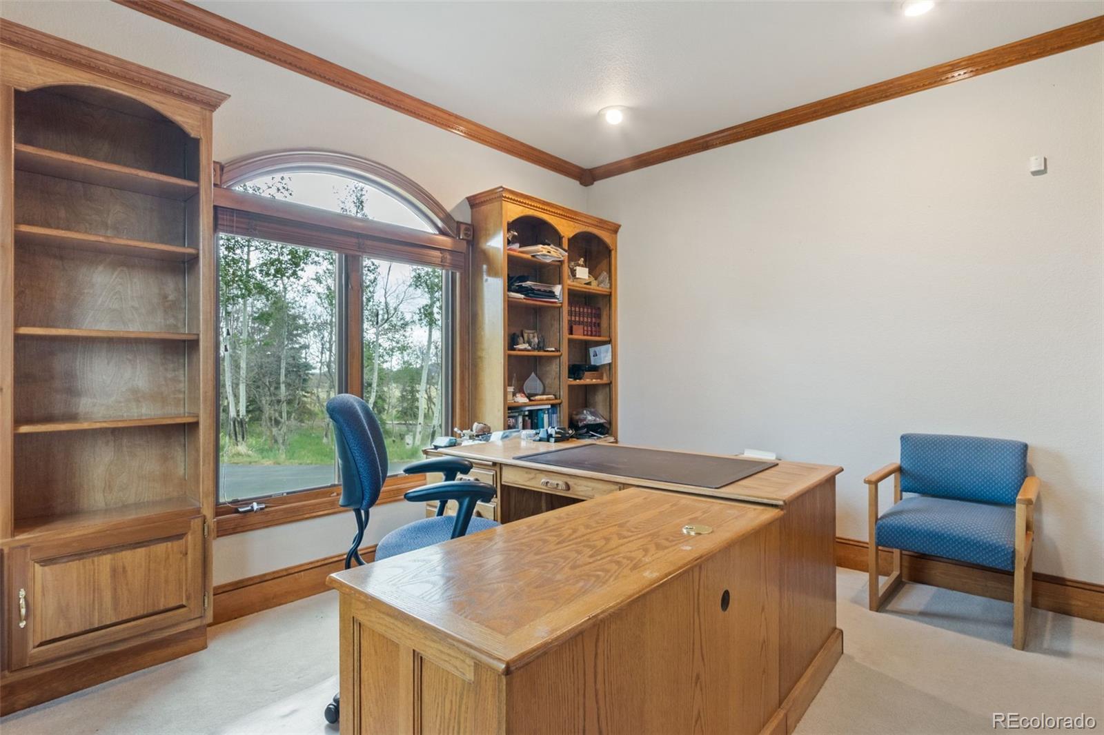 MLS Image #19 for 5324  grimes lane,larkspur, Colorado
