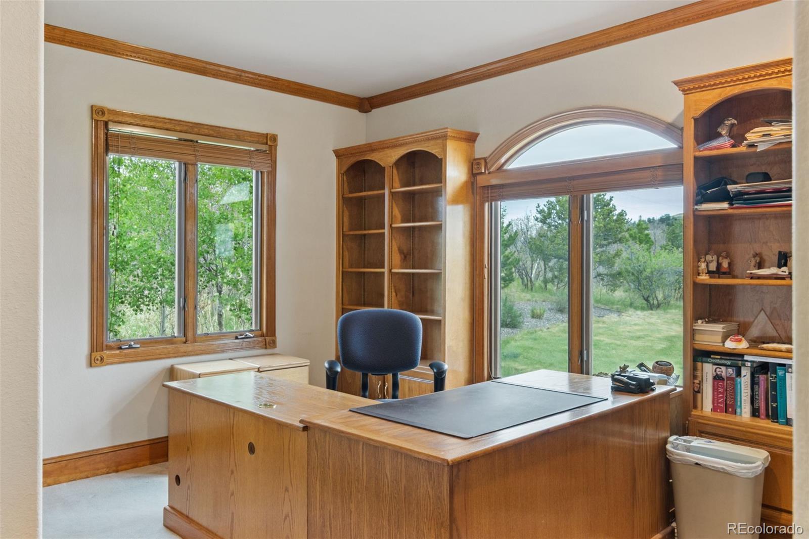 MLS Image #20 for 5324  grimes lane,larkspur, Colorado