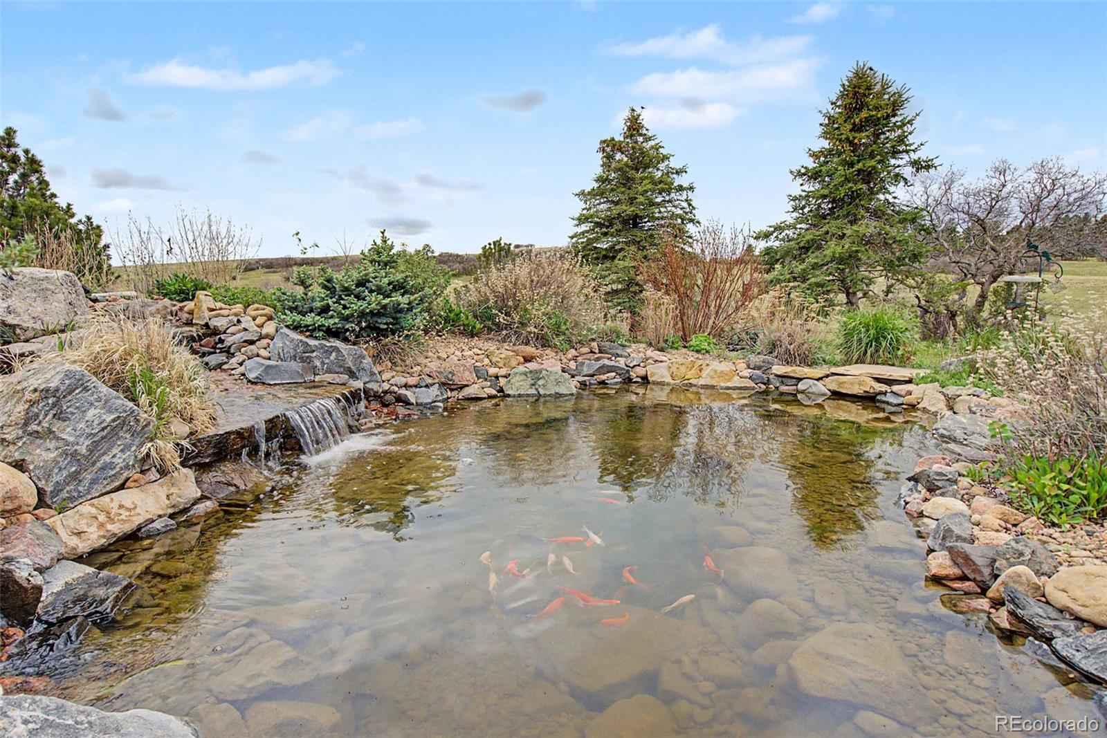 MLS Image #39 for 5324  grimes lane,larkspur, Colorado