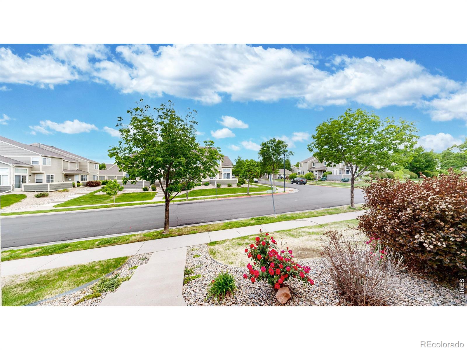 MLS Image #24 for 6603  antigua drive,fort collins, Colorado