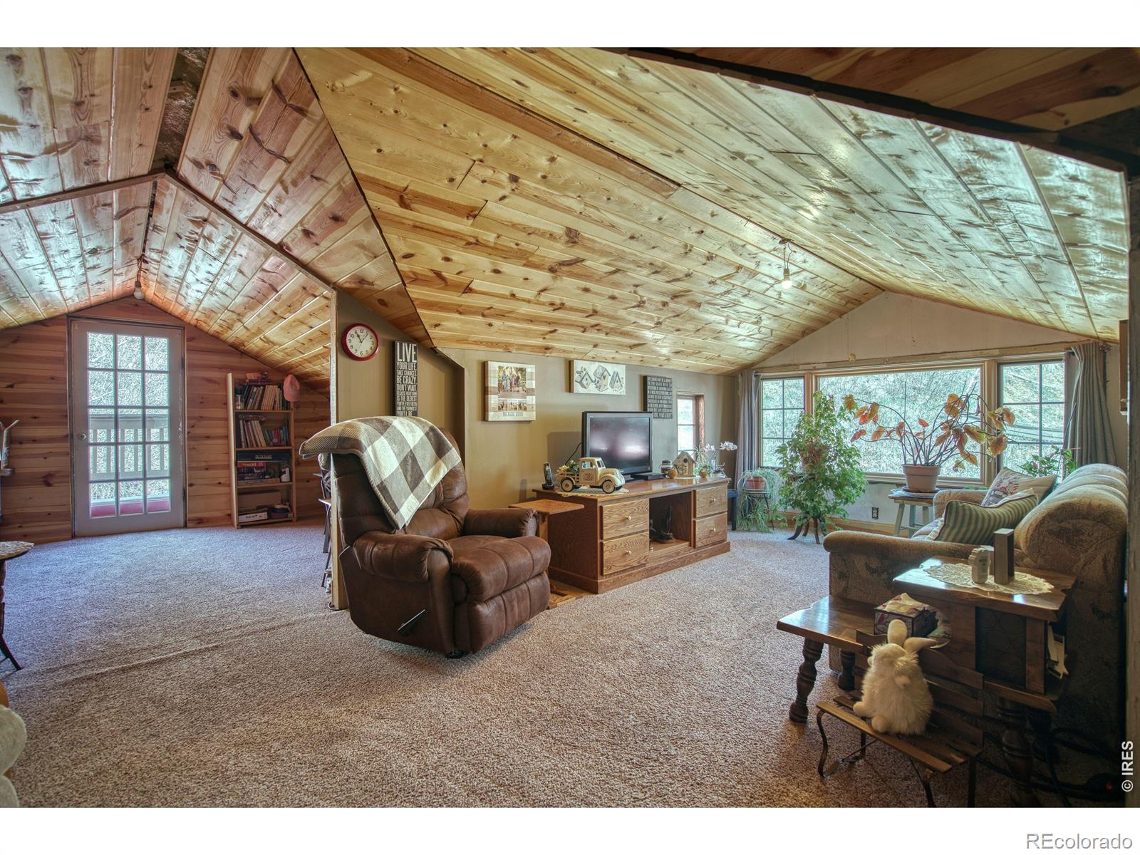 MLS Image #3 for 357  highway 7 business ,allenspark, Colorado