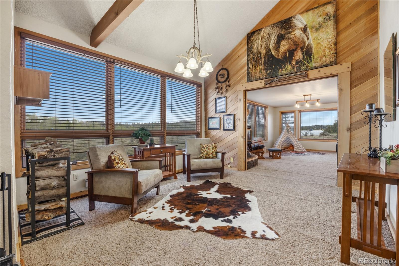 MLS Image #1 for 275  vulture lane,jefferson, Colorado