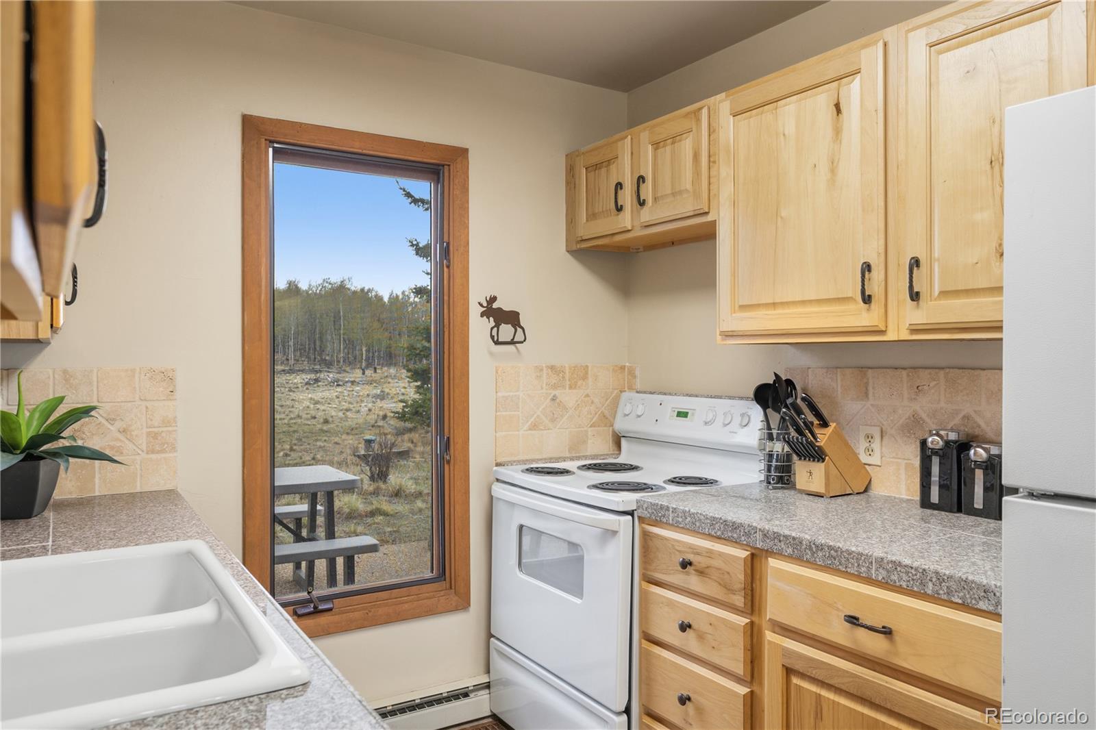 MLS Image #10 for 275  vulture lane,jefferson, Colorado