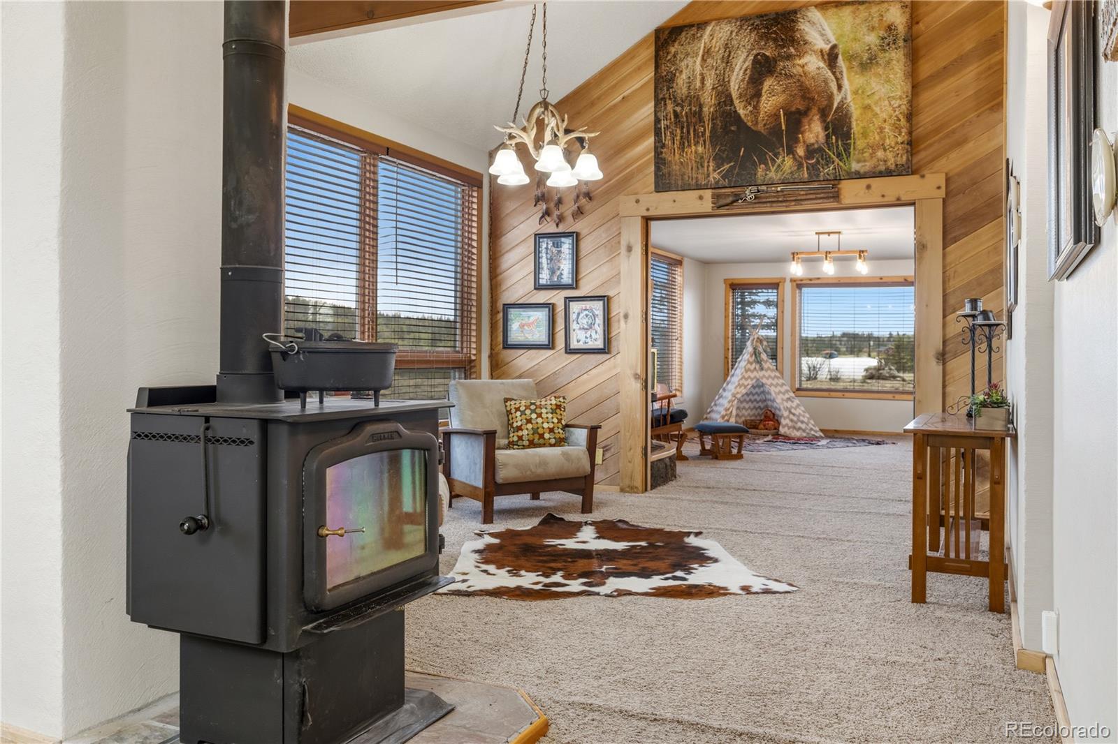 MLS Image #11 for 275  vulture lane,jefferson, Colorado