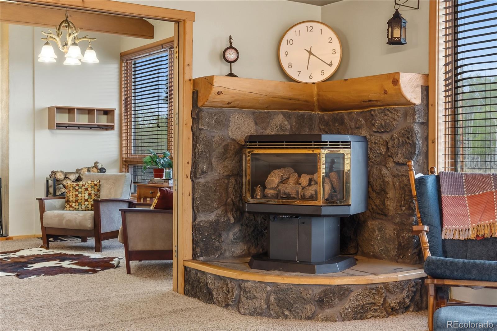 MLS Image #14 for 275  vulture lane,jefferson, Colorado