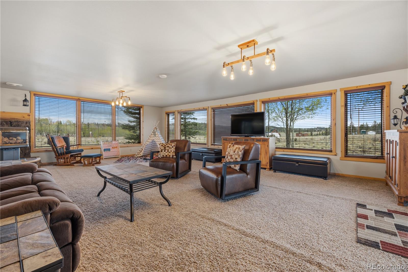 MLS Image #15 for 275  vulture lane,jefferson, Colorado