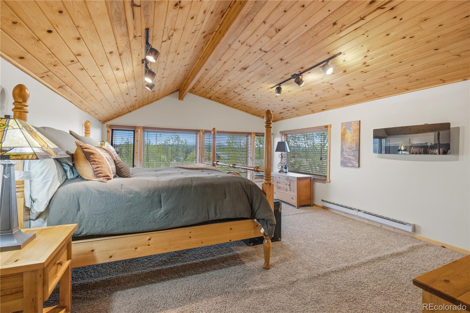 MLS Image #18 for 275  vulture lane,jefferson, Colorado