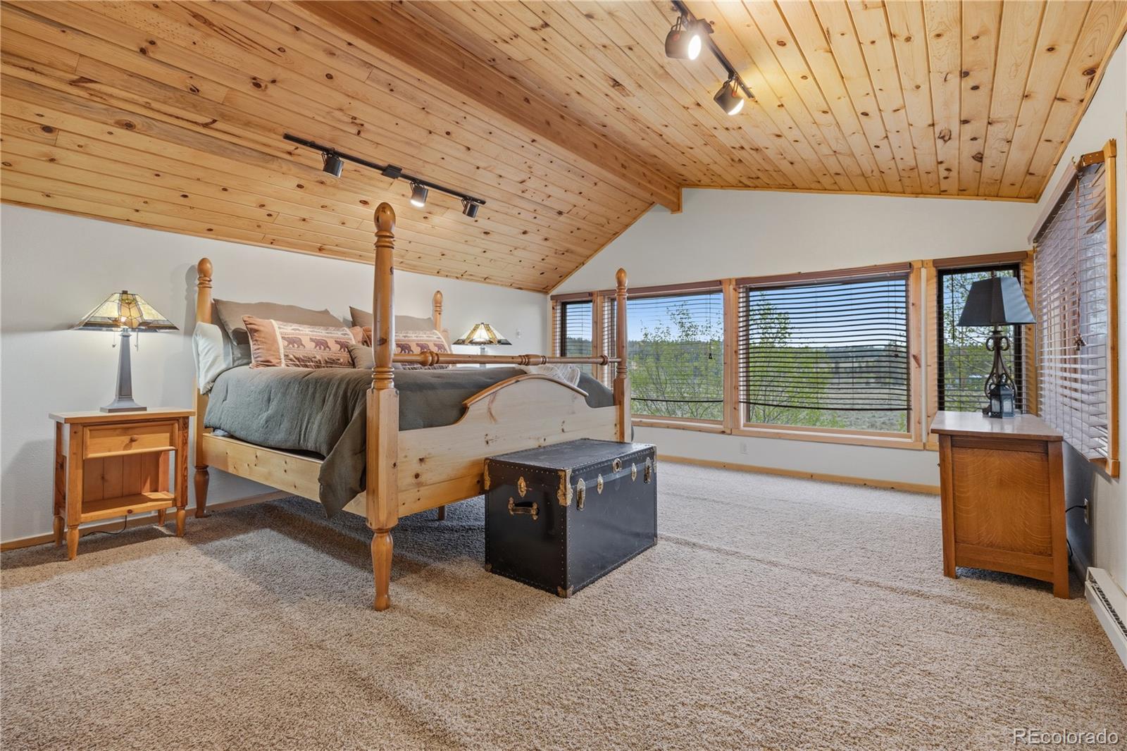MLS Image #19 for 275  vulture lane,jefferson, Colorado