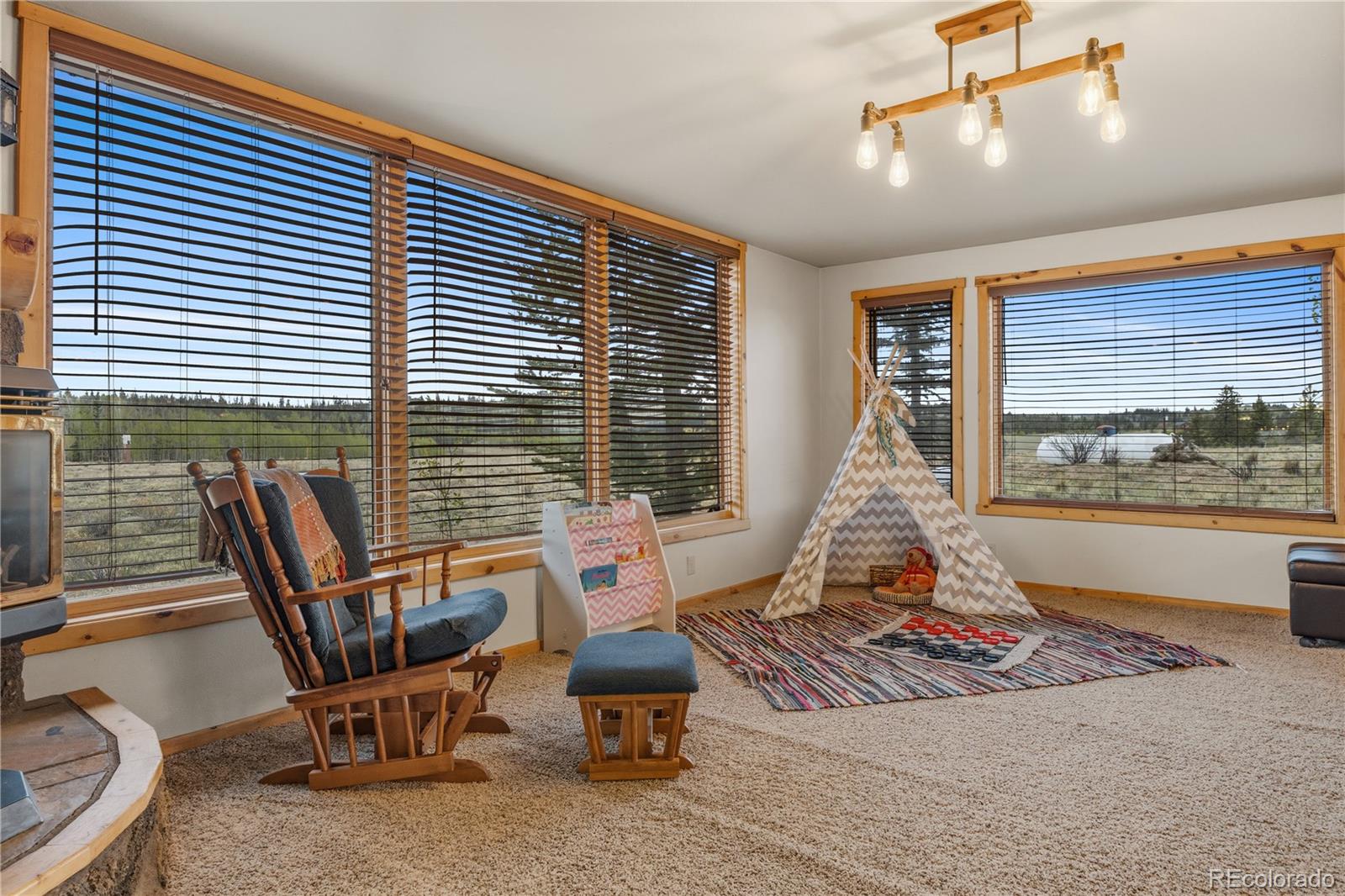 MLS Image #2 for 275  vulture lane,jefferson, Colorado