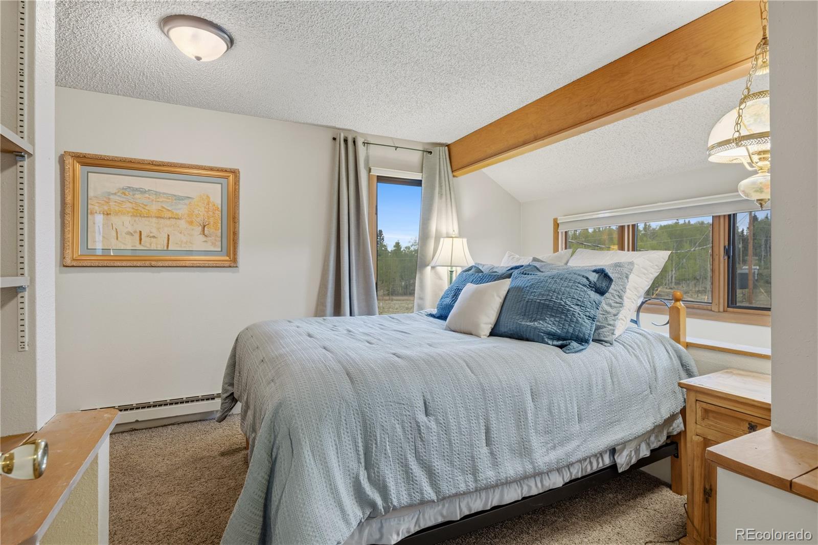 MLS Image #23 for 275  vulture lane,jefferson, Colorado