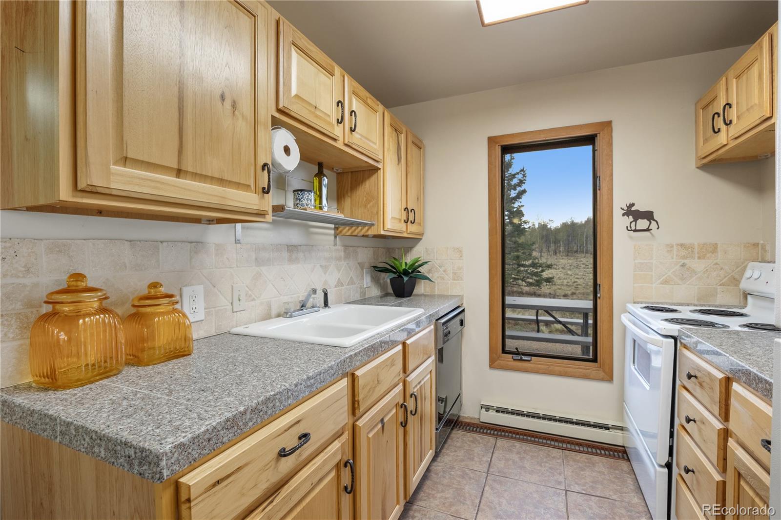 MLS Image #8 for 275  vulture lane,jefferson, Colorado