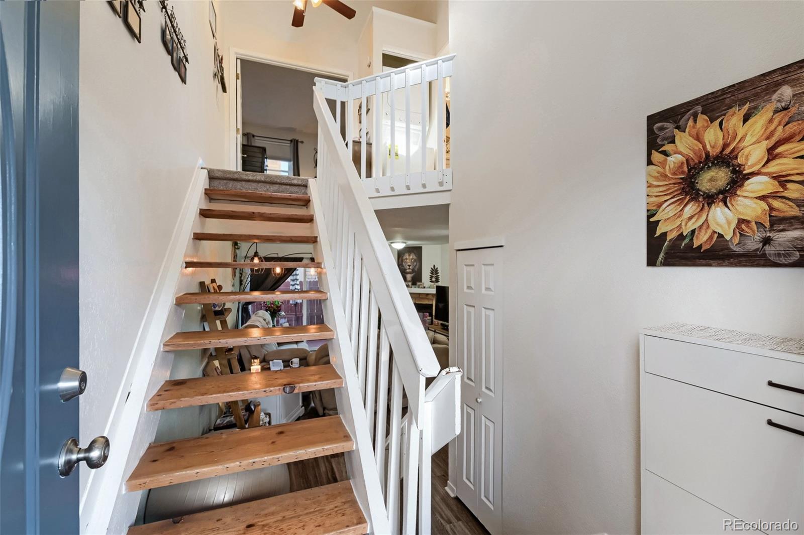 MLS Image #11 for 2427  rainbow drive,denver, Colorado