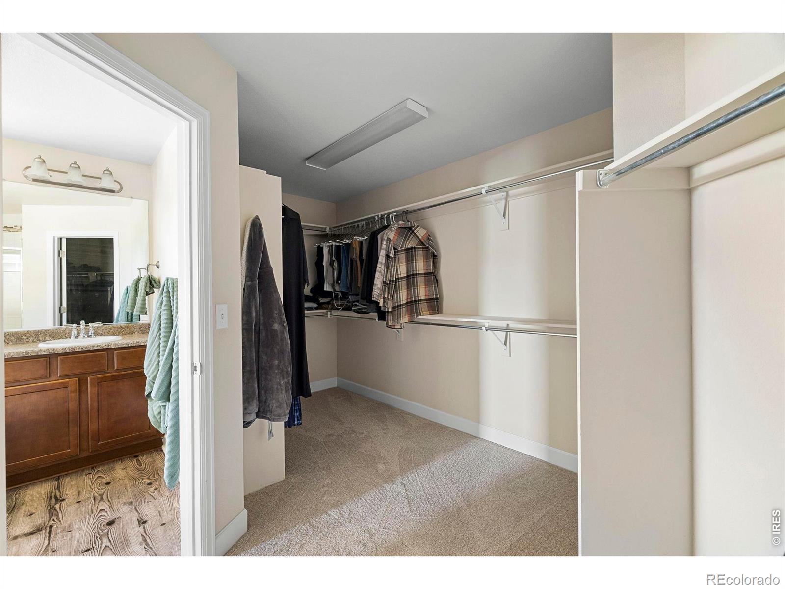 MLS Image #22 for 5651  kadenwood drive,fort collins, Colorado