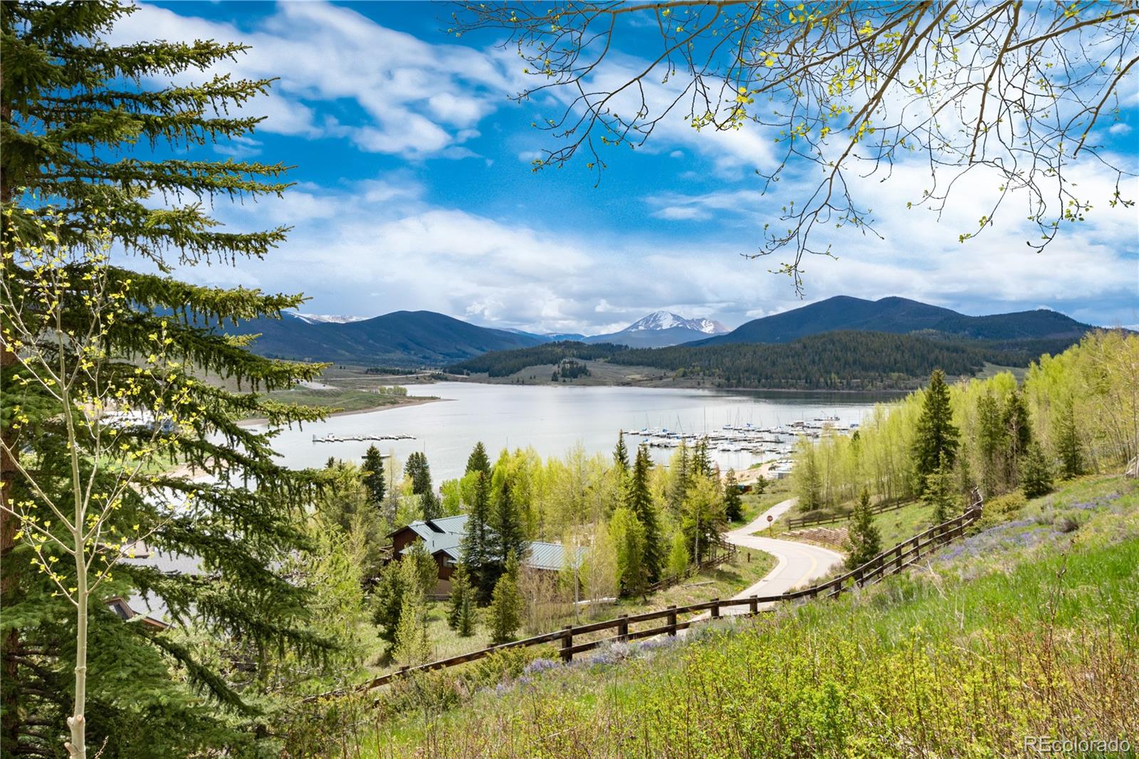 MLS Image #9 for 370 e la bonte street,dillon, Colorado