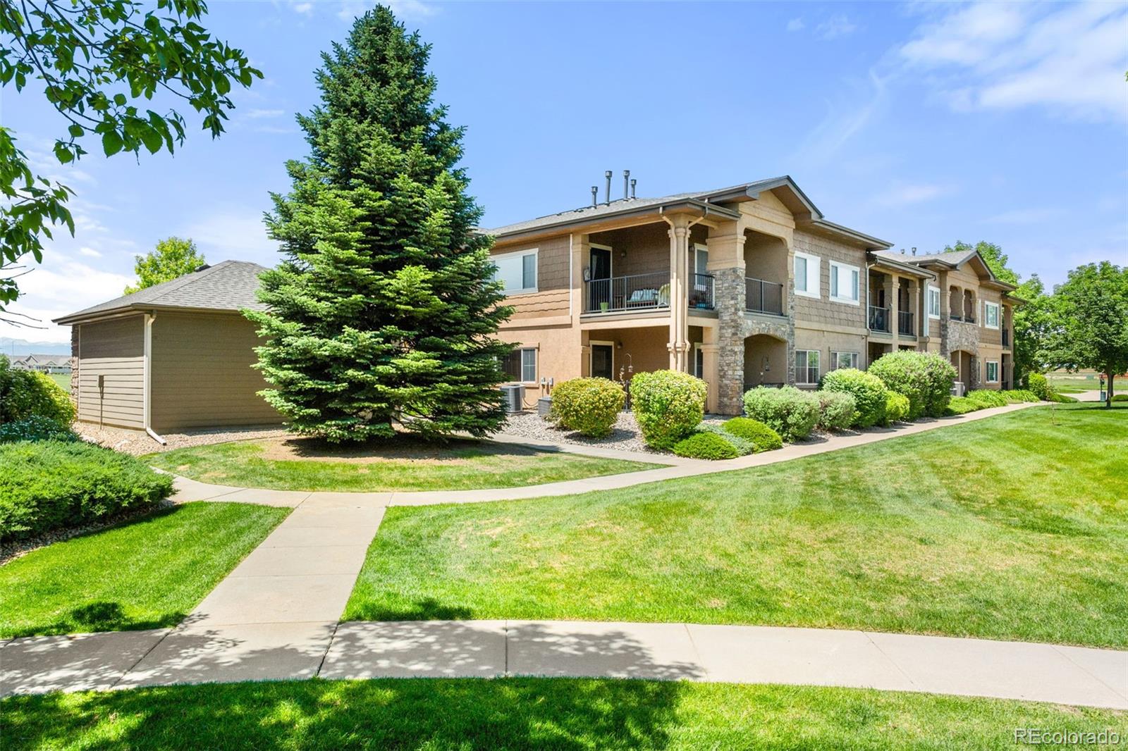 MLS Image #27 for 1152  olympia avenue,longmont, Colorado
