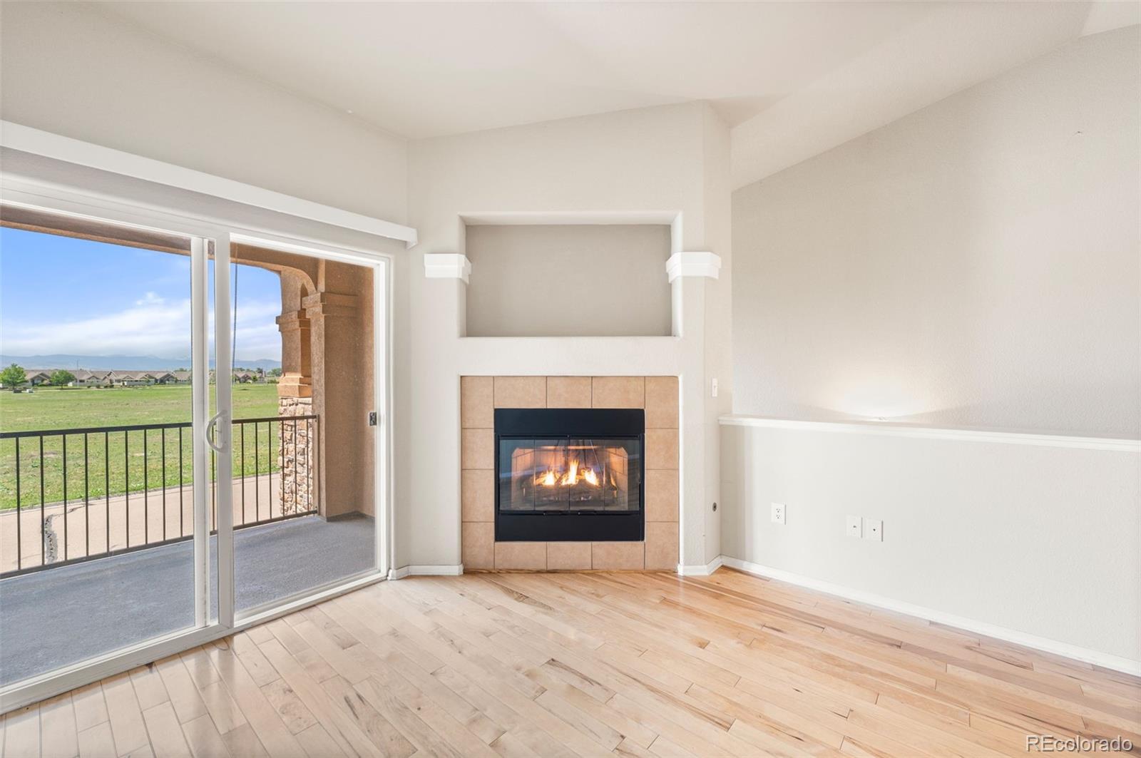 MLS Image #6 for 1152  olympia avenue,longmont, Colorado