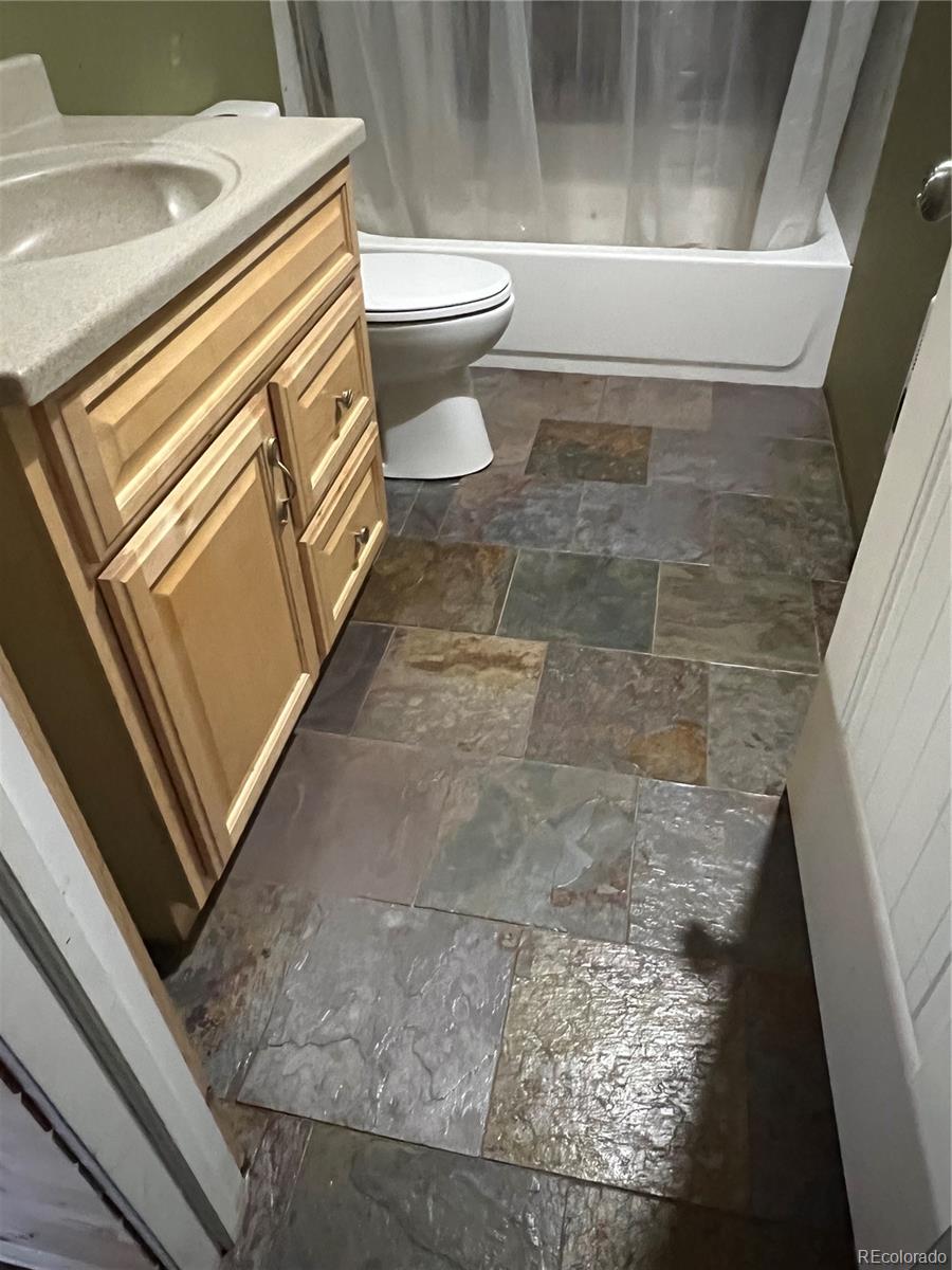MLS Image #11 for 160  birch drive,twin lakes, Colorado