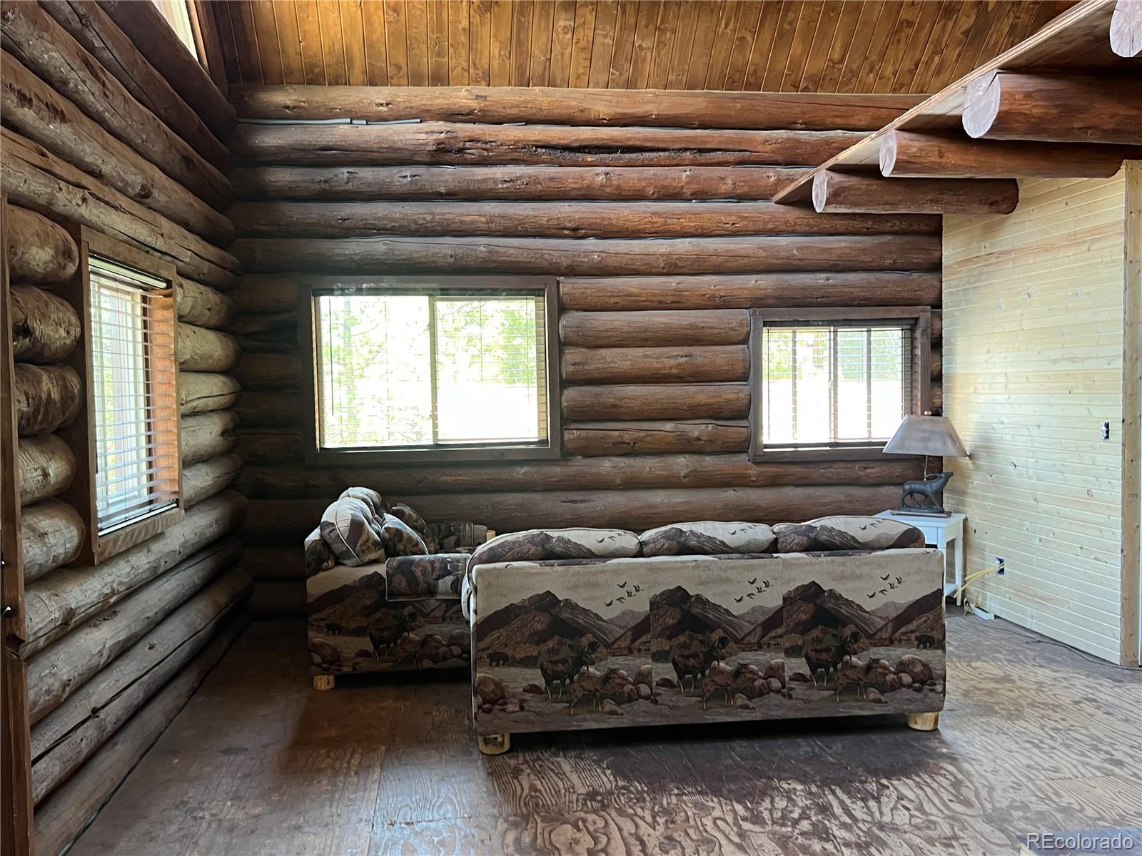 MLS Image #12 for 160  birch drive,twin lakes, Colorado