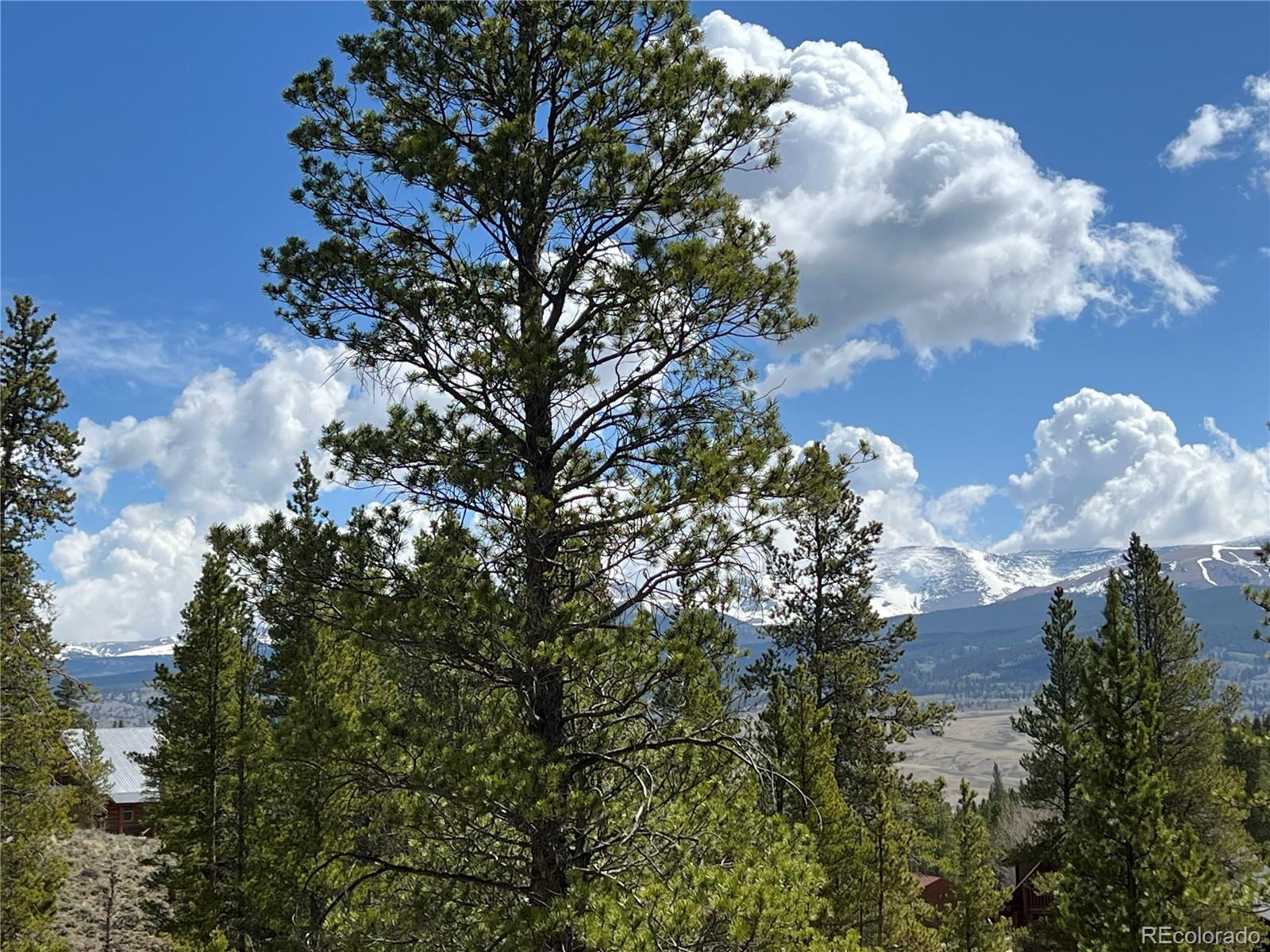 MLS Image #17 for 160  birch drive,twin lakes, Colorado