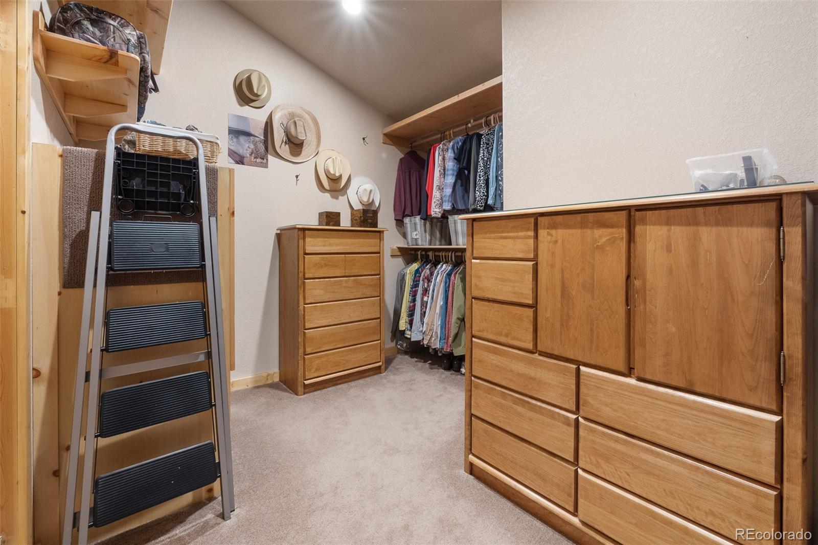 MLS Image #30 for 1163  michigan hill road,jefferson, Colorado