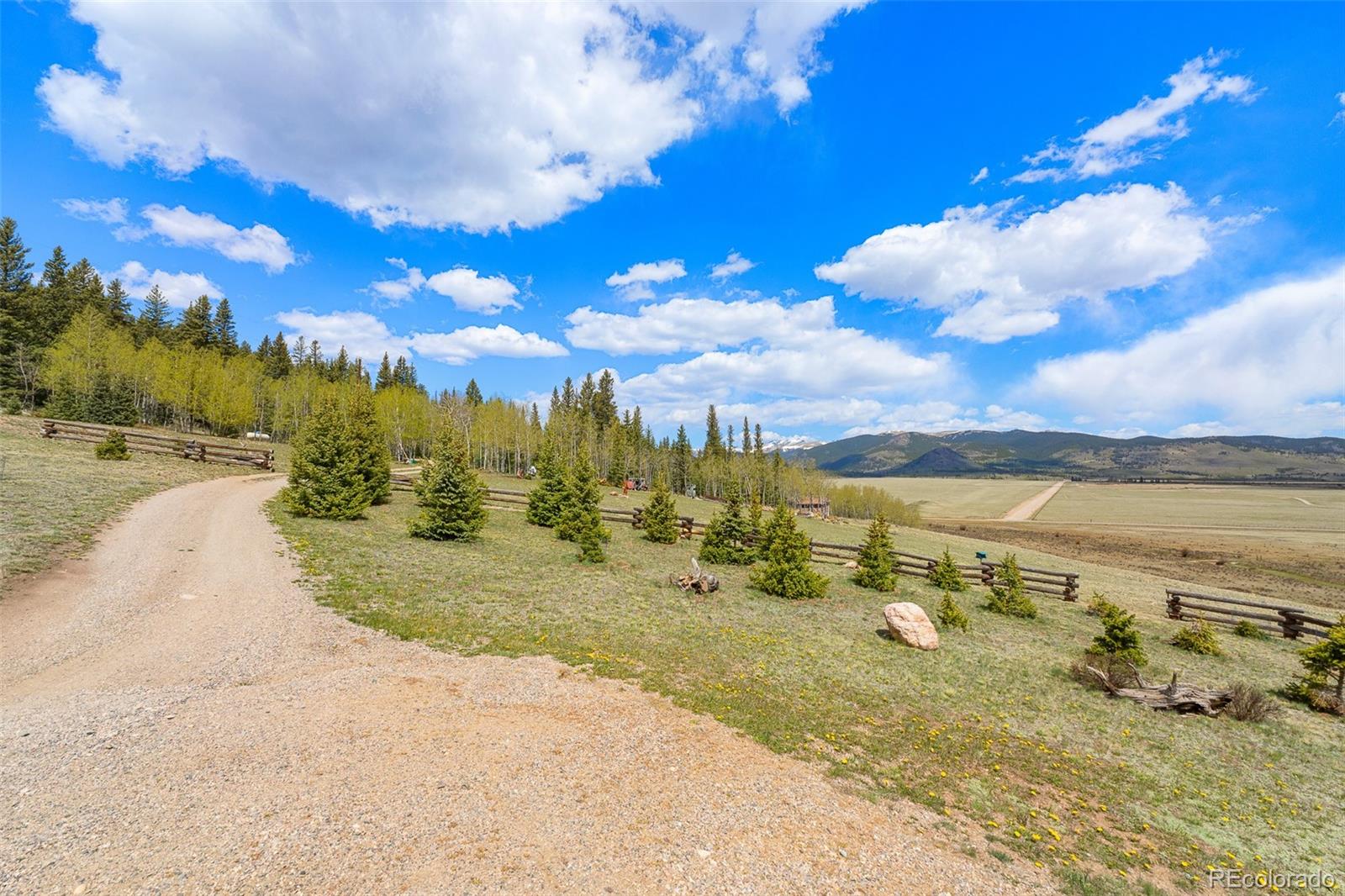 MLS Image #41 for 1163  michigan hill road,jefferson, Colorado