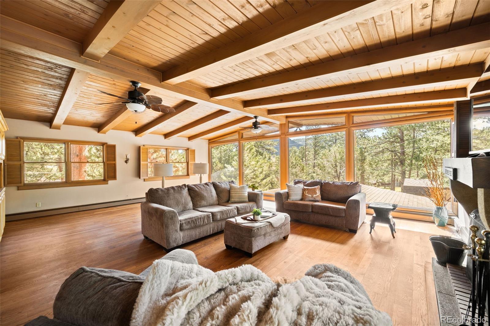MLS Image #12 for 28480  douglas park road,evergreen, Colorado