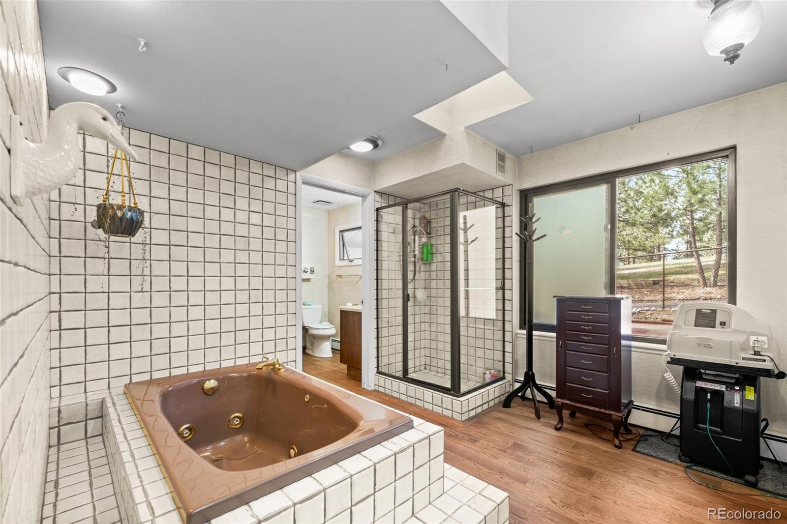 MLS Image #26 for 28480  douglas park road,evergreen, Colorado