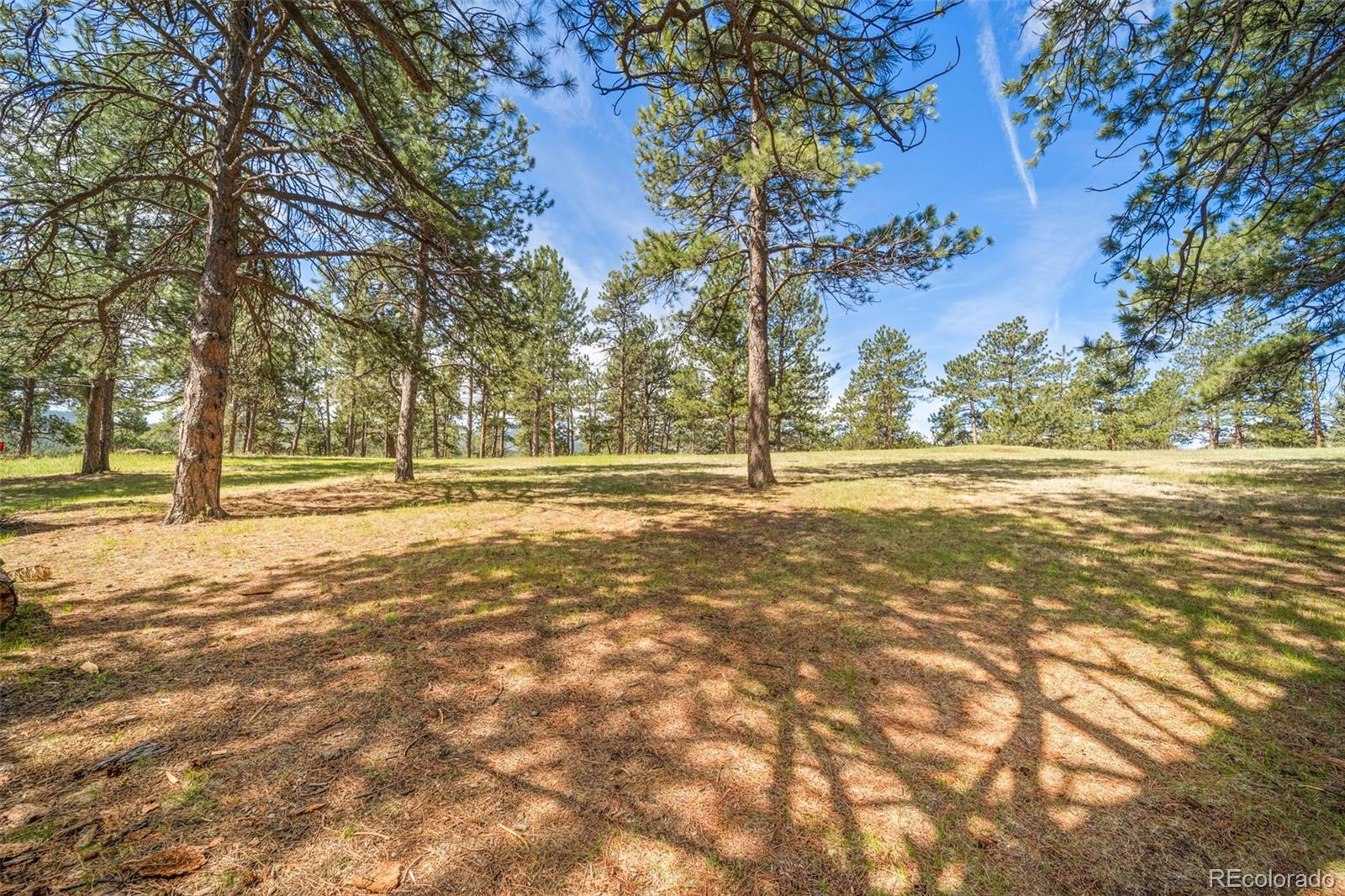 MLS Image #38 for 28480  douglas park road,evergreen, Colorado