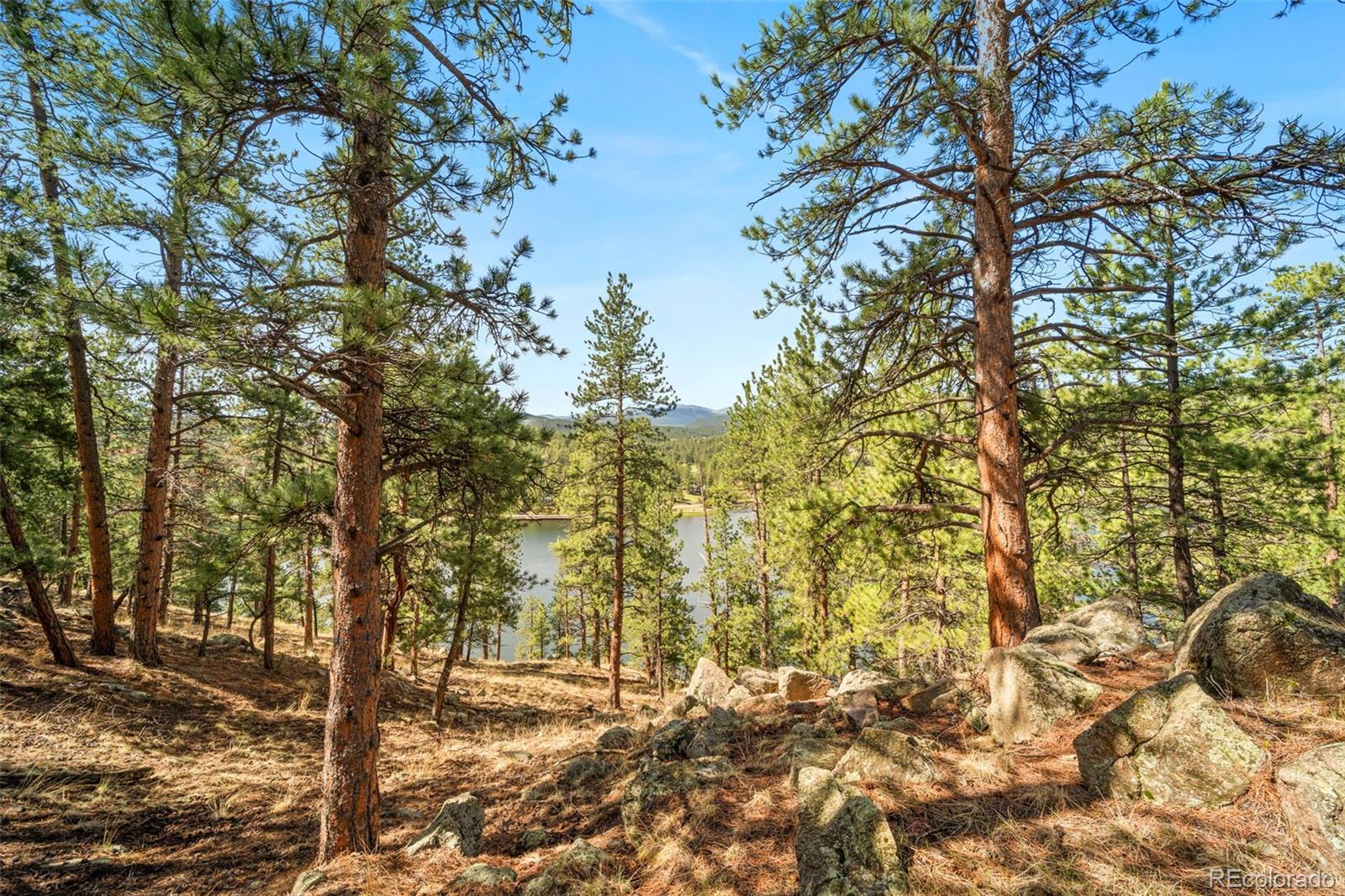 MLS Image #4 for 28480  douglas park road,evergreen, Colorado