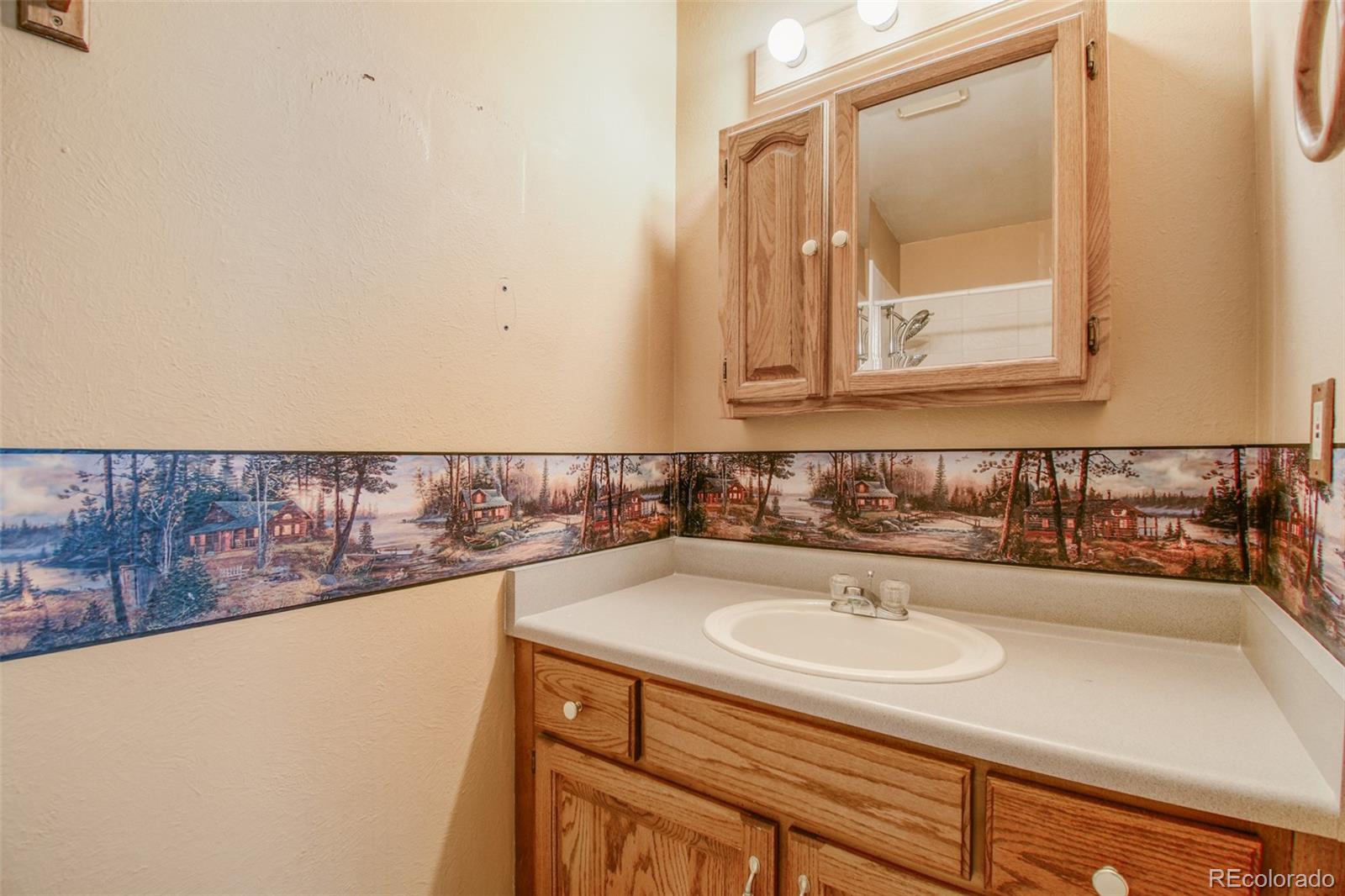 MLS Image #17 for 13125  monroe court,thornton, Colorado