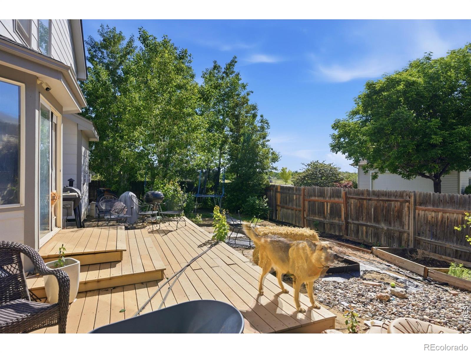 MLS Image #26 for 7472  skyline way,frederick, Colorado