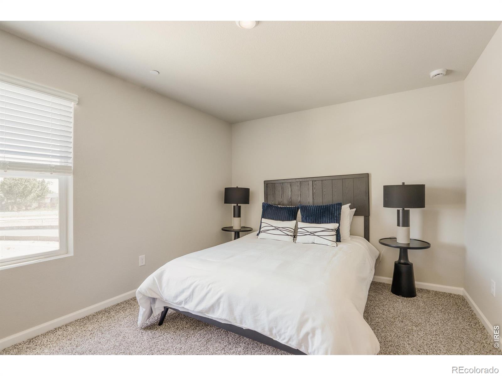 MLS Image #15 for 2416  heyworth lane,fort collins, Colorado