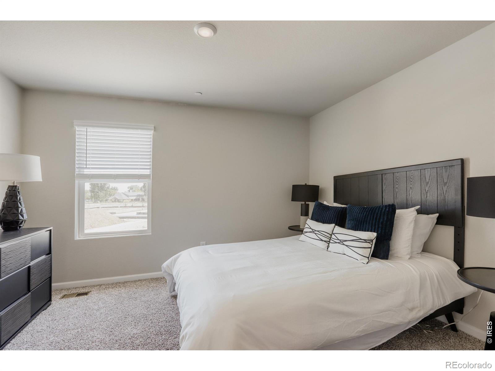 MLS Image #16 for 2416  heyworth lane,fort collins, Colorado