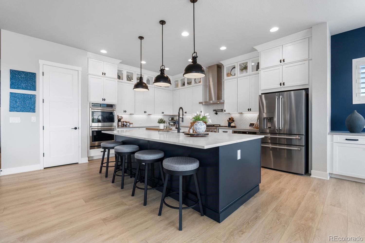 MLS Image #10 for 3359  carabiner street,castle rock, Colorado