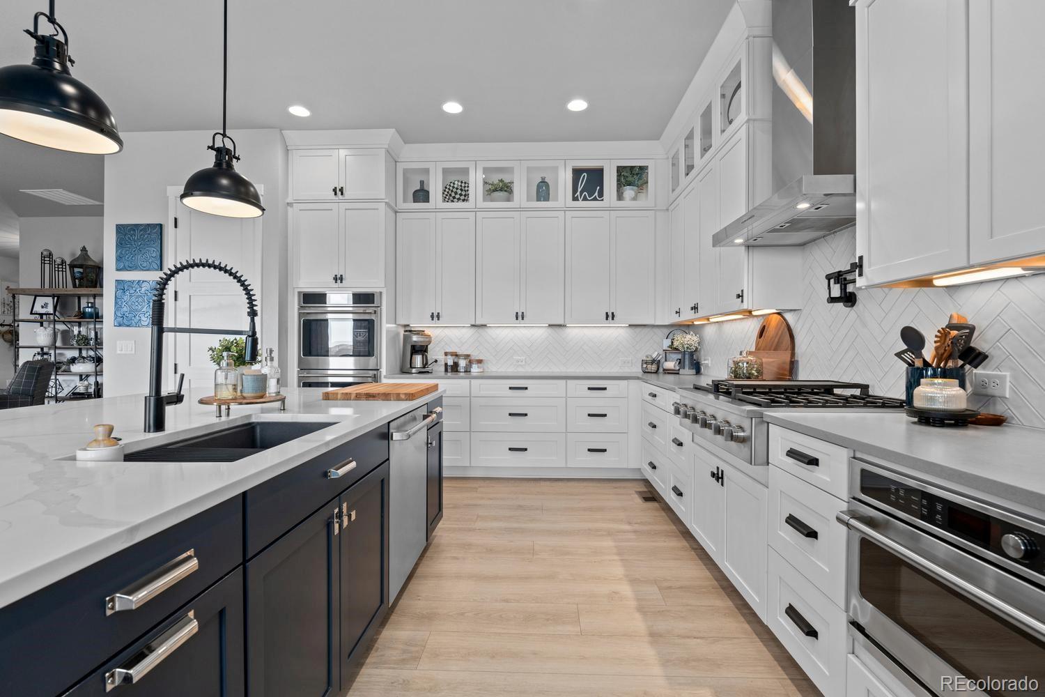MLS Image #11 for 3359  carabiner street,castle rock, Colorado
