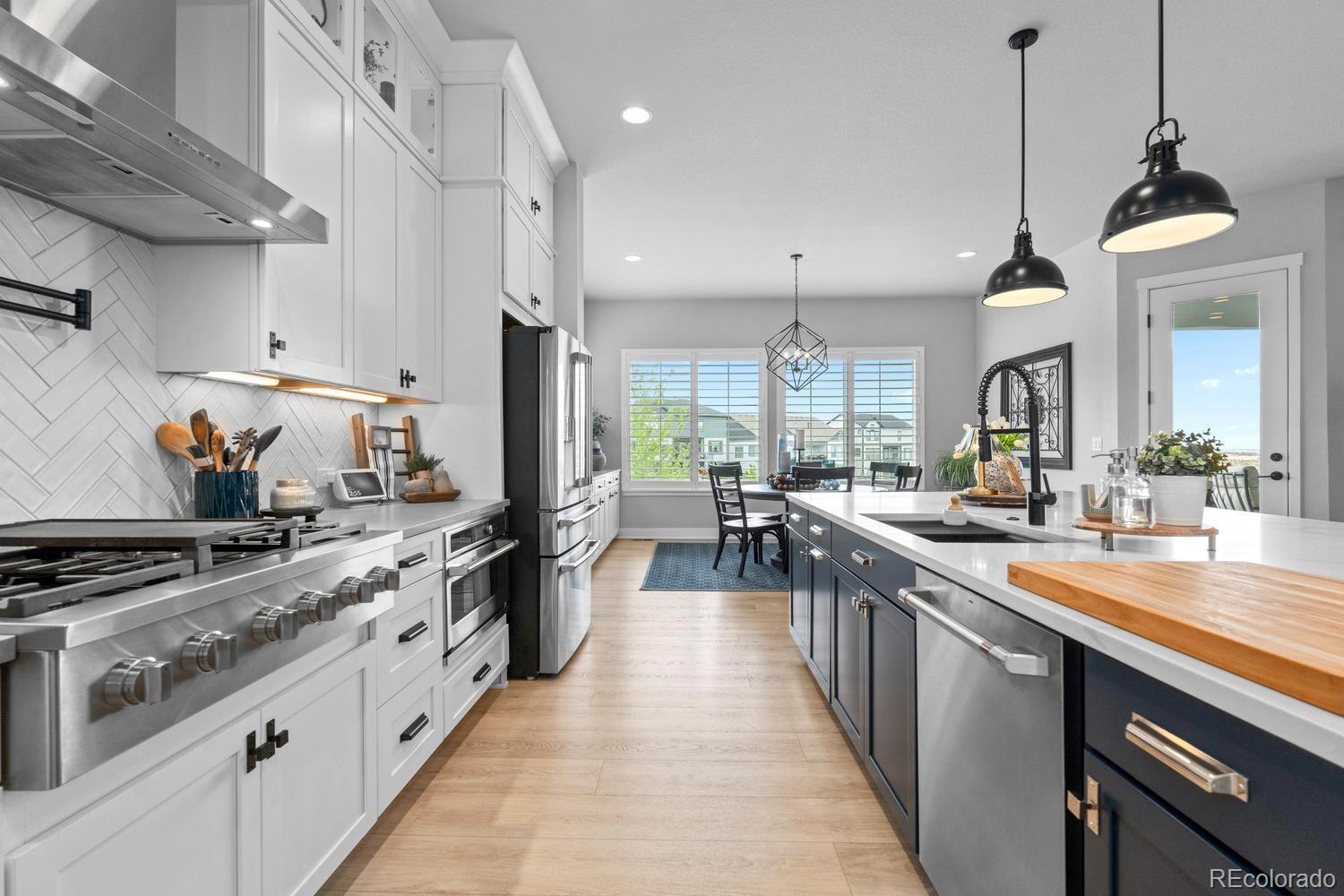 MLS Image #12 for 3359  carabiner street,castle rock, Colorado