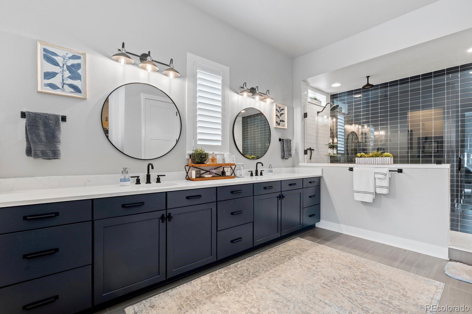 MLS Image #16 for 3359  carabiner street,castle rock, Colorado
