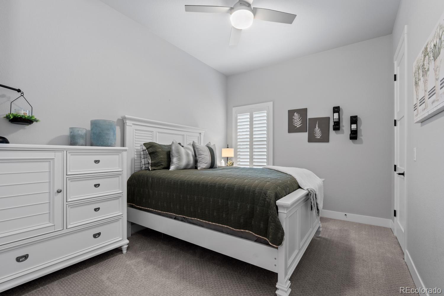 MLS Image #18 for 3359  carabiner street,castle rock, Colorado