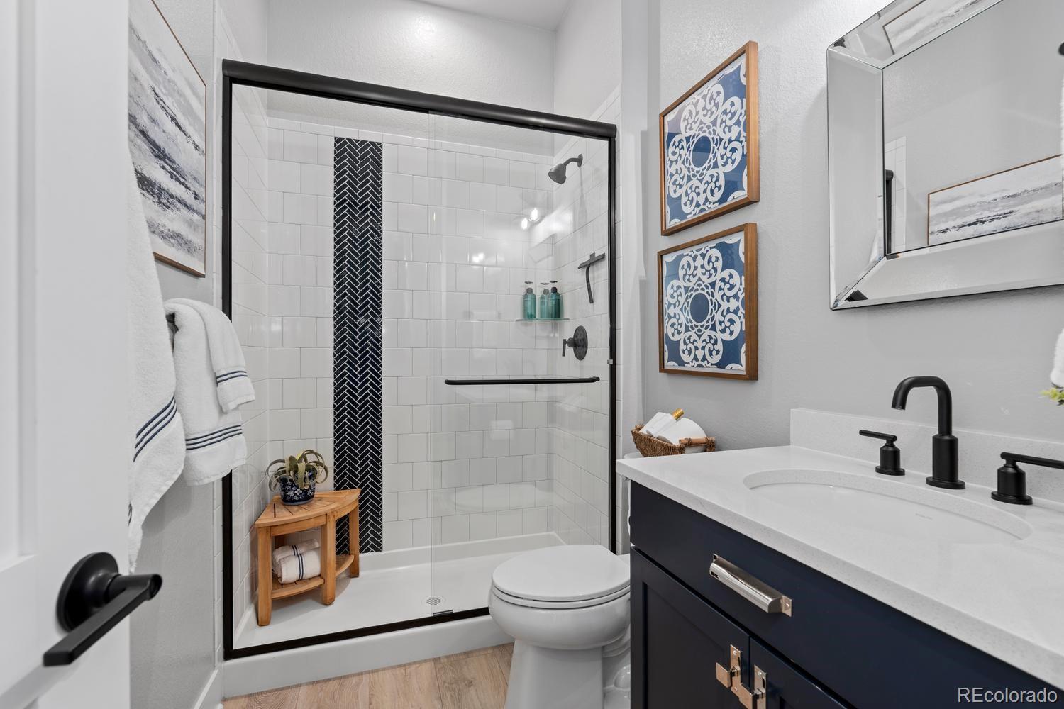 MLS Image #19 for 3359  carabiner street,castle rock, Colorado